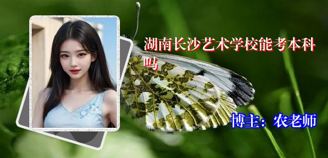 湖南长沙艺术学校能考本科吗