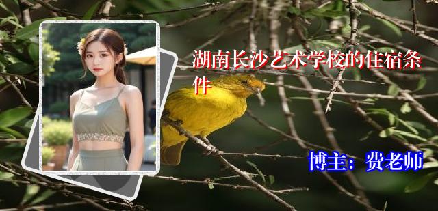 湖南长沙艺术学校的住宿条件