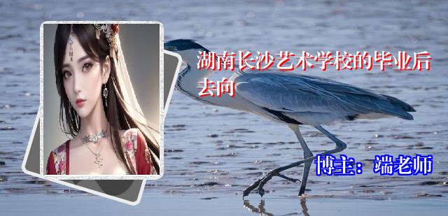 湖南长沙艺术学校的毕业后去向