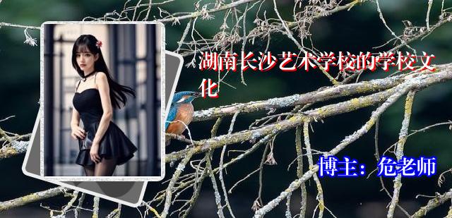 湖南长沙艺术学校的学校文化