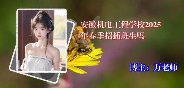 安徽机电工程学校2025年春季招插班生吗
