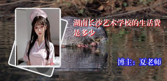 湖南长沙艺术学校的生活费是多少