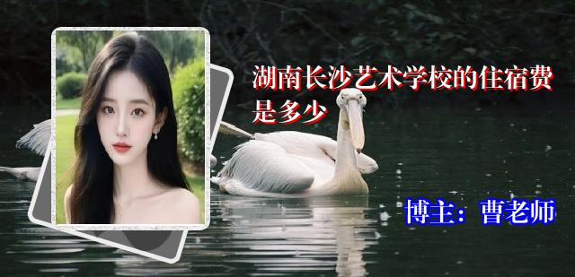湖南长沙艺术学校的住宿费是多少