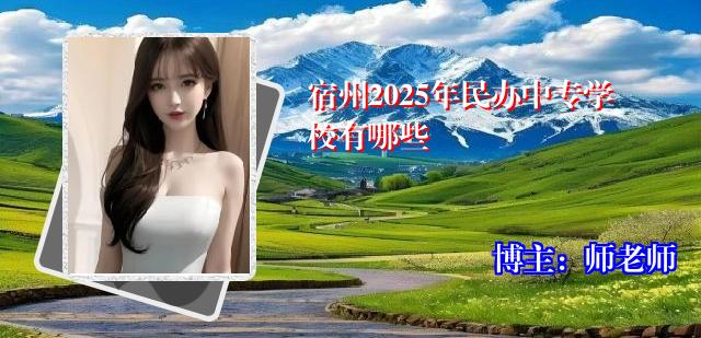 宿州2025年民办中专学校有哪些