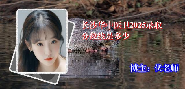 长沙华中医卫2025录取分数线是多少