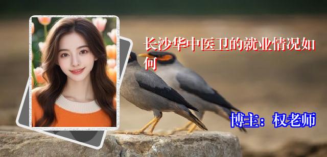 长沙华中医卫的就业情况如何