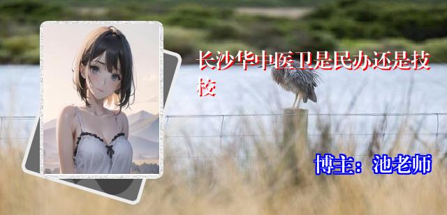 长沙华中医卫是民办还是技校