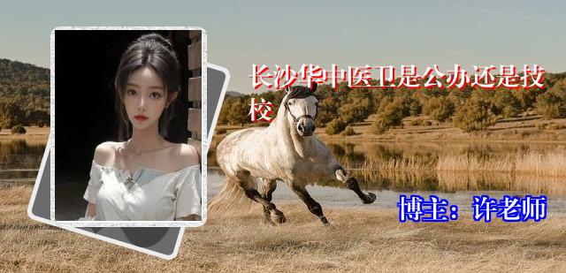 长沙华中医卫是公办还是技校