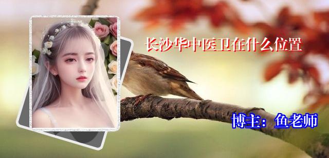 长沙华中医卫在什么位置