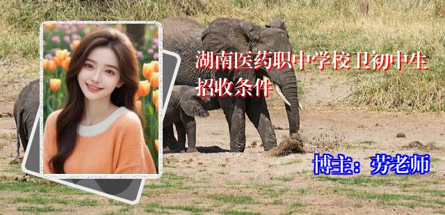 湖南医药职中学校卫初中生招收条件