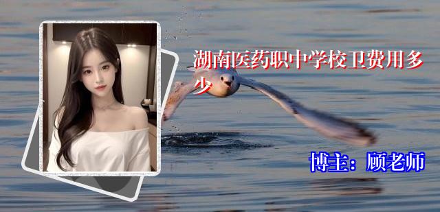 湖南医药职中学校卫费用多少