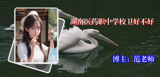 湖南医药职中学校卫好不好