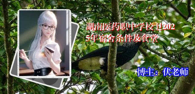 湖南医药职中学校卫2025年宿舍条件及食堂