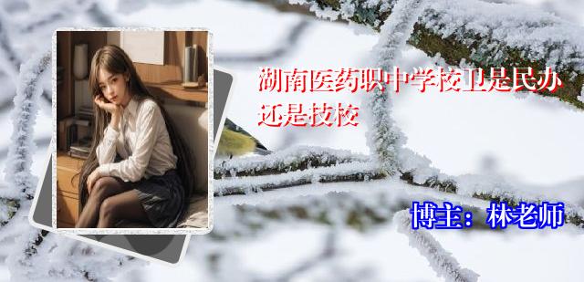 湖南医药职中学校卫是民办还是技校