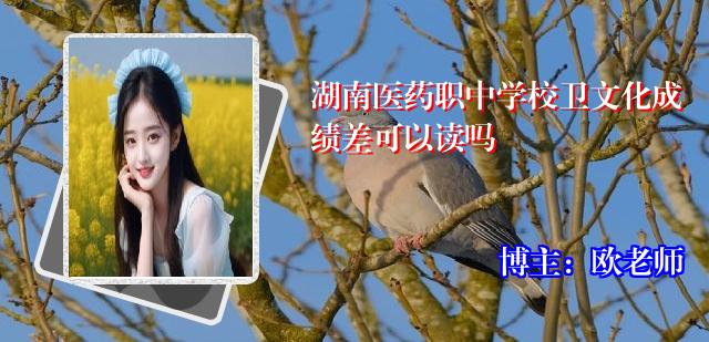 湖南医药职中学校卫文化成绩差可以读吗