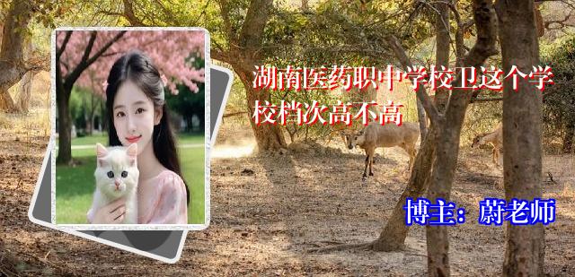 湖南医药职中学校卫这个学校档次高不高