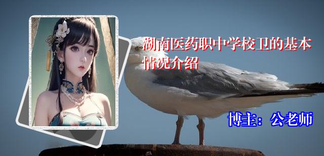 湖南医药职中学校卫的基本情况介绍