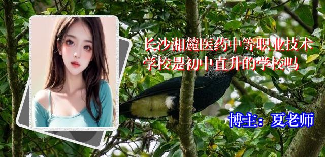 长沙湘麓医药中等职业技术学校是初中直升的学校吗