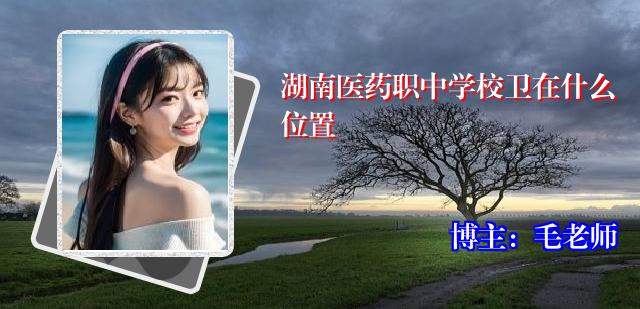 湖南医药职中学校卫在什么位置