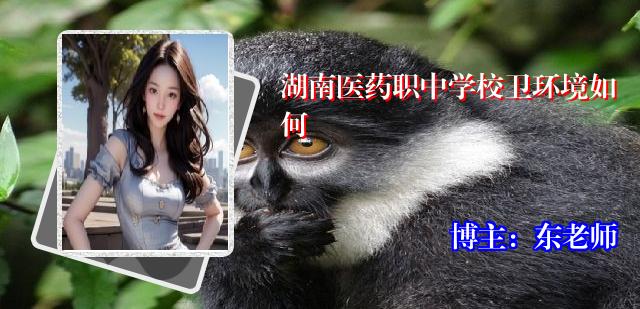 湖南医药职中学校卫环境如何