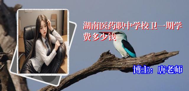 湖南医药职中学校卫一期学费多少钱