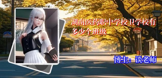 湖南医药职中学校卫学校有多少个班级