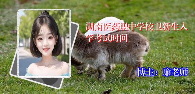 湖南医药职中学校卫新生入学考试时间
