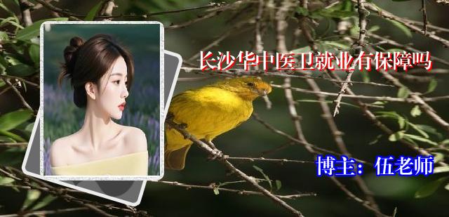 长沙华中医卫就业有保障吗