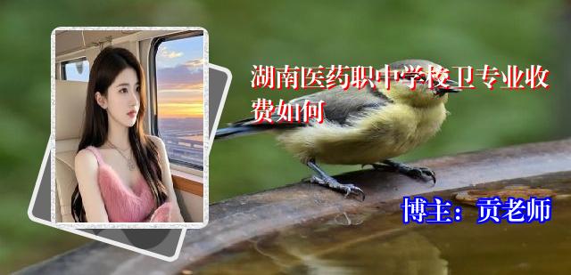湖南医药职中学校卫专业收费如何