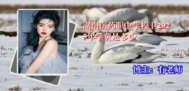 湖南医药职中学校卫2025年学费是多少