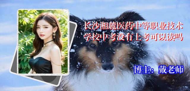 长沙湘麓医药中等职业技术学校中考没有上考可以读吗