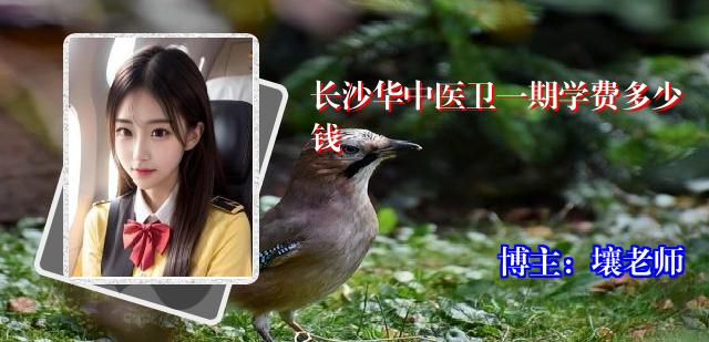 长沙华中医卫一期学费多少钱