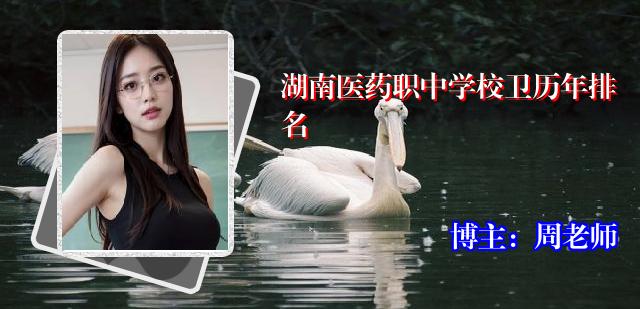 湖南医药职中学校卫历年排名