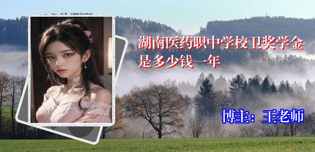 湖南医药职中学校卫奖学金是多少钱一年