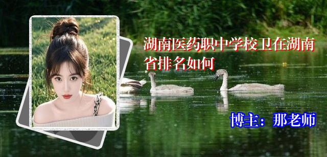 湖南医药职中学校卫在湖南省排名如何