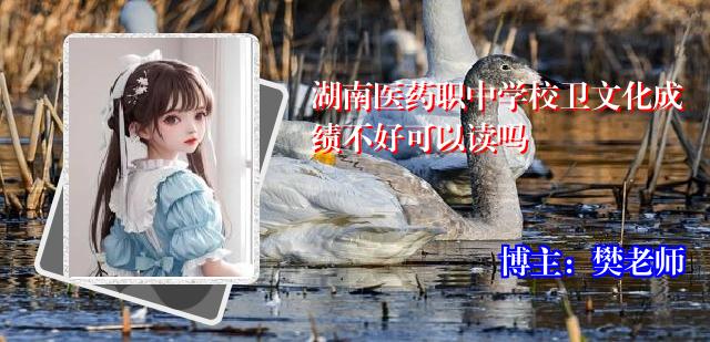 湖南医药职中学校卫文化成绩不好可以读吗