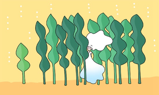 常德工艺美术学校的学校位置及联系方式