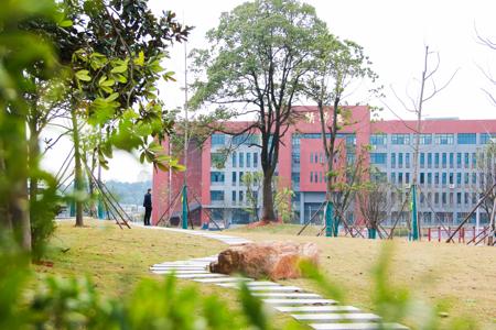 安庆枞川经济技术学校